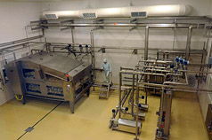 EGG PROCESSING PLANT