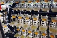 EGG PROCESSING PLANT