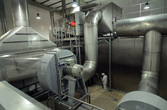 EGG PROCESSING PLANT